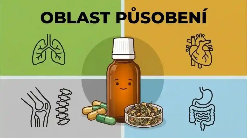 Oblast působení bylinek